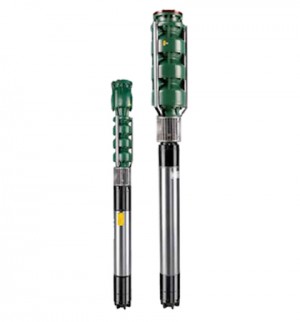 Dr&auml;nkbara motore Caprari E14SE50/5I+M14380 380HP