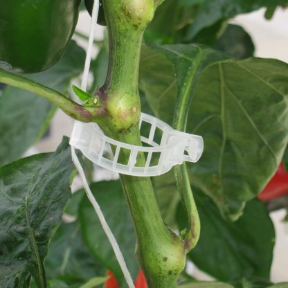 Upphängnings clips för tomat och gurkplantor Ø23 mm 10000st/kartong