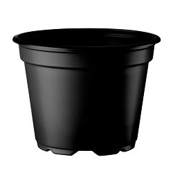 Thermoformade Krukor 8º runda svart 10cm 2030st/kartong