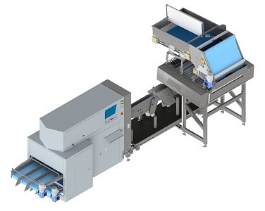 Morötter sorteringsmaskiner sortera 15 Morötter per sekund