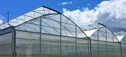 Växthus SCANDI® bågväxthus för kruk, plant och grönsaksproduktion