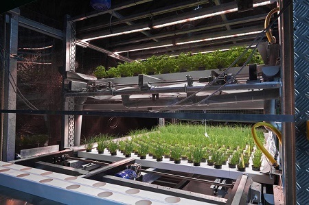 Odlingssystem inomhus utrustning för växthus