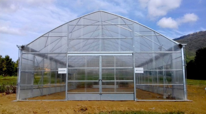 Växthus SCANDI MultiArt960 bredd 9,6m och längd 100m, 960m²