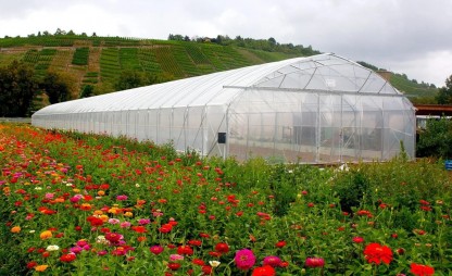 Växthus SCANDI® EasyArt, bredd 8m och längd 16m, 128 m²