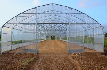 Växthus SCANDI®Tunnelart PV, bredd 6,4m och längd 16m, 102,4 m²