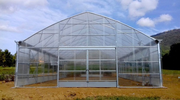 Växthus SCANDI®Tunnelart PV, bredd 6,4m och längd 40m taknock höjd 5,55m,256m²