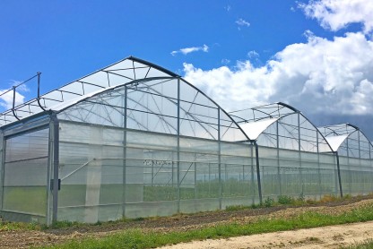 Växthus SCANDI MultiArt800 bredd 8m och längd 20m, 160m²