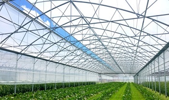 Växthus SCANDI®Tunnelart PV, bredd 9,6m och längd 15m, 144m²