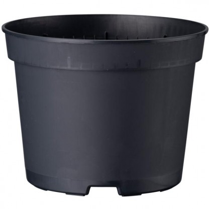 Blomkruka Desch DPY 9 till 14cm 