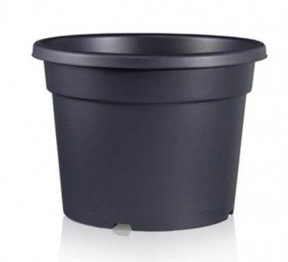 Containerkruka Jumbo  40 cm  25L pris/st 