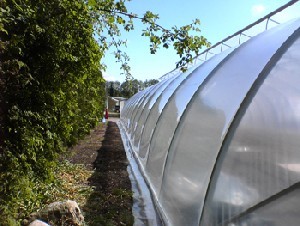 ROVX2490 V&auml;xthusfolie spillbitar till specialpris  12x 15 m inkl emballage 