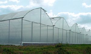 VÄXTHUS SCANDI® 960 Blockväxthus