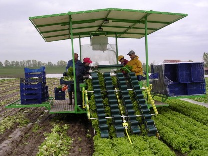 Skördemaskin HORTI för 4 rader