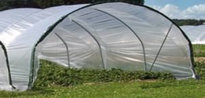 Båge Ø33 för bågväxthus Scandi500 5m cc med rak sida