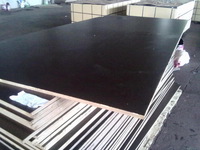 Formplywood 21mm